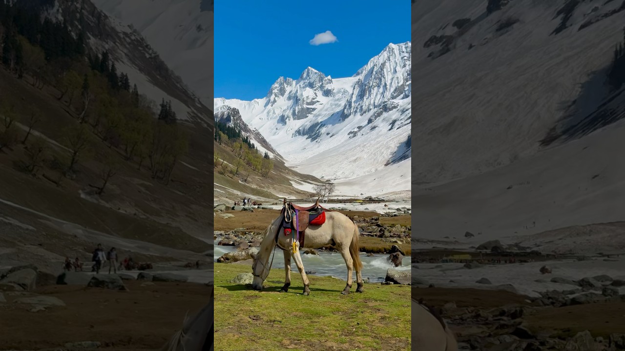 Jannate Kashmir 🏔️🌲 #mountains #jannatkashmir #travel #kashmirexpress #nature #love