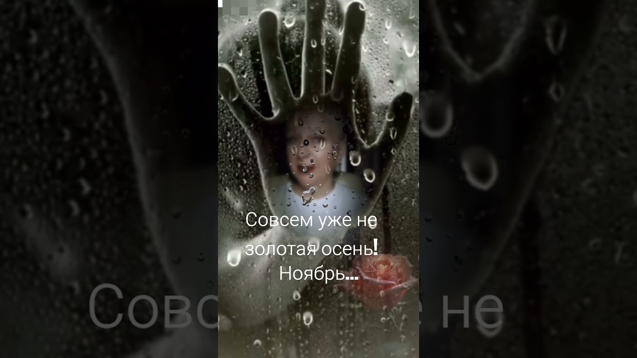 Ноябрь. Уже не золотая осень. Стихи мои, музыка ИИ красиваяпесня мелодиипесни осень2025