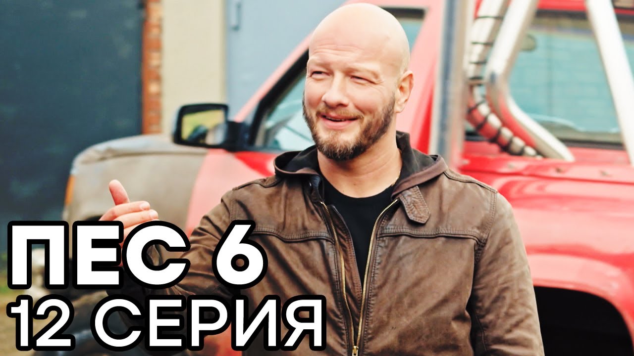 Сериал ПЕС 6 - 6 сезон - 12 серия - ВСЕ СЕРИИ смотреть онлайн | СЕРИАЛЫ ICTV