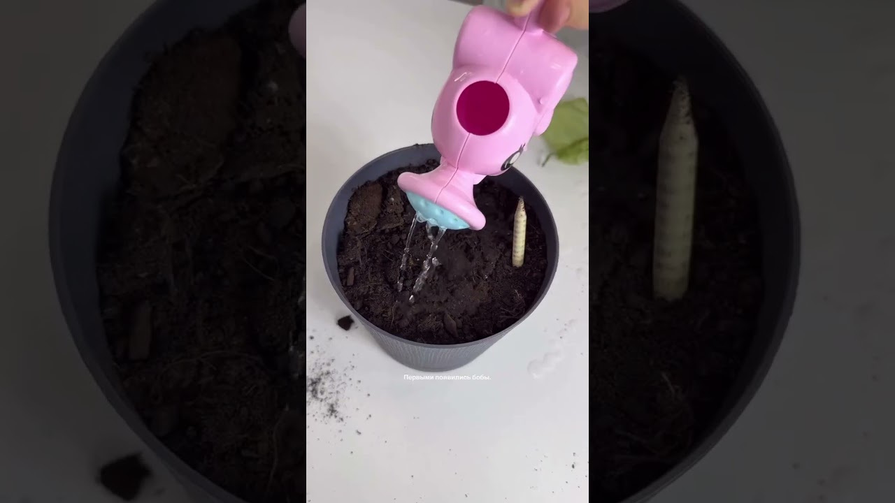 Арт. 306256380 🔥 мои супер находки wildberries ozon яндекс aliexpress распаковка