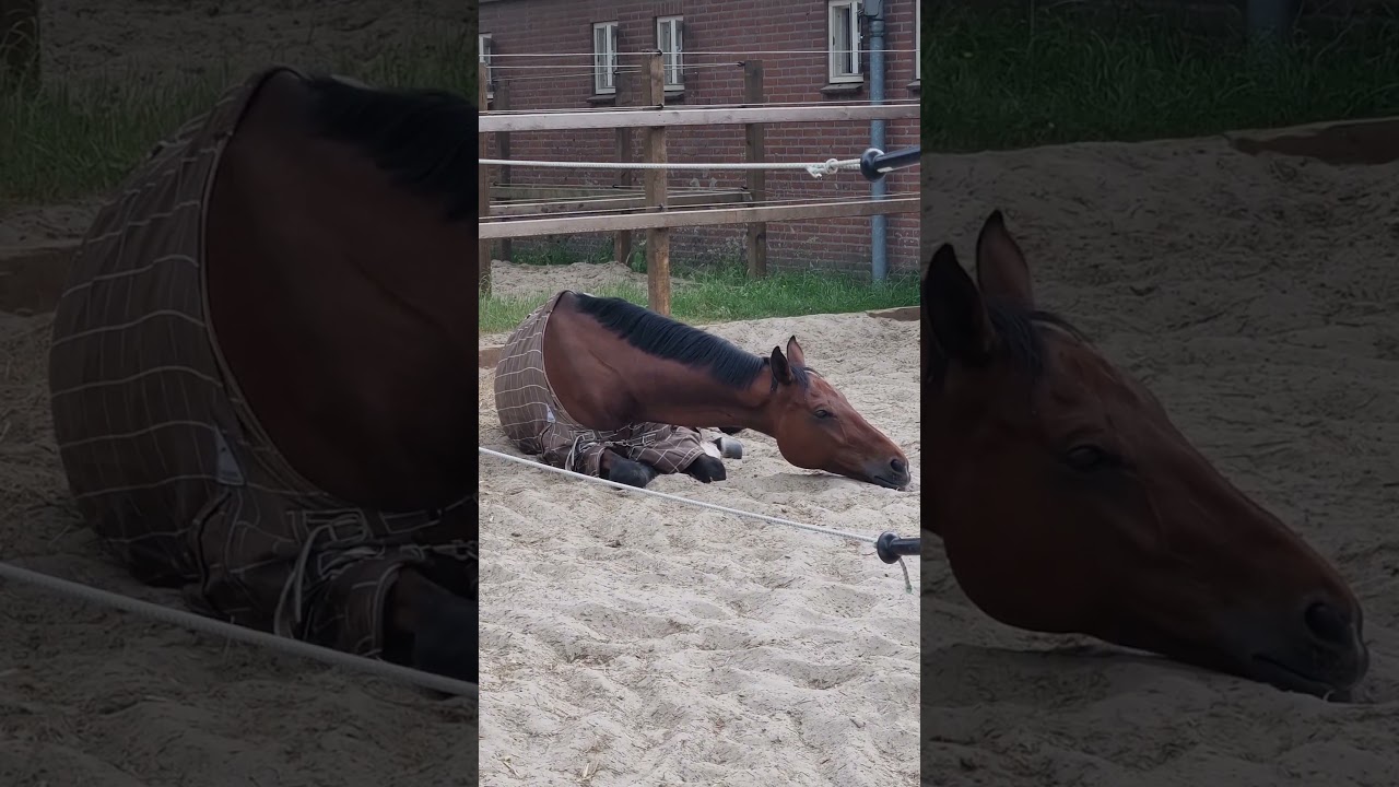 НовыйКаналРазвитие МонетизацияЮтубер ПродвижениеСоветыЮтуберу 1000Подписчиков 100кПросмотров