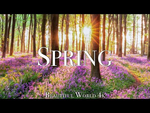 Amazing Colors of Spring 4K Nature Relaxaton Film - Relaxing Piano Music - Natural Landsscape