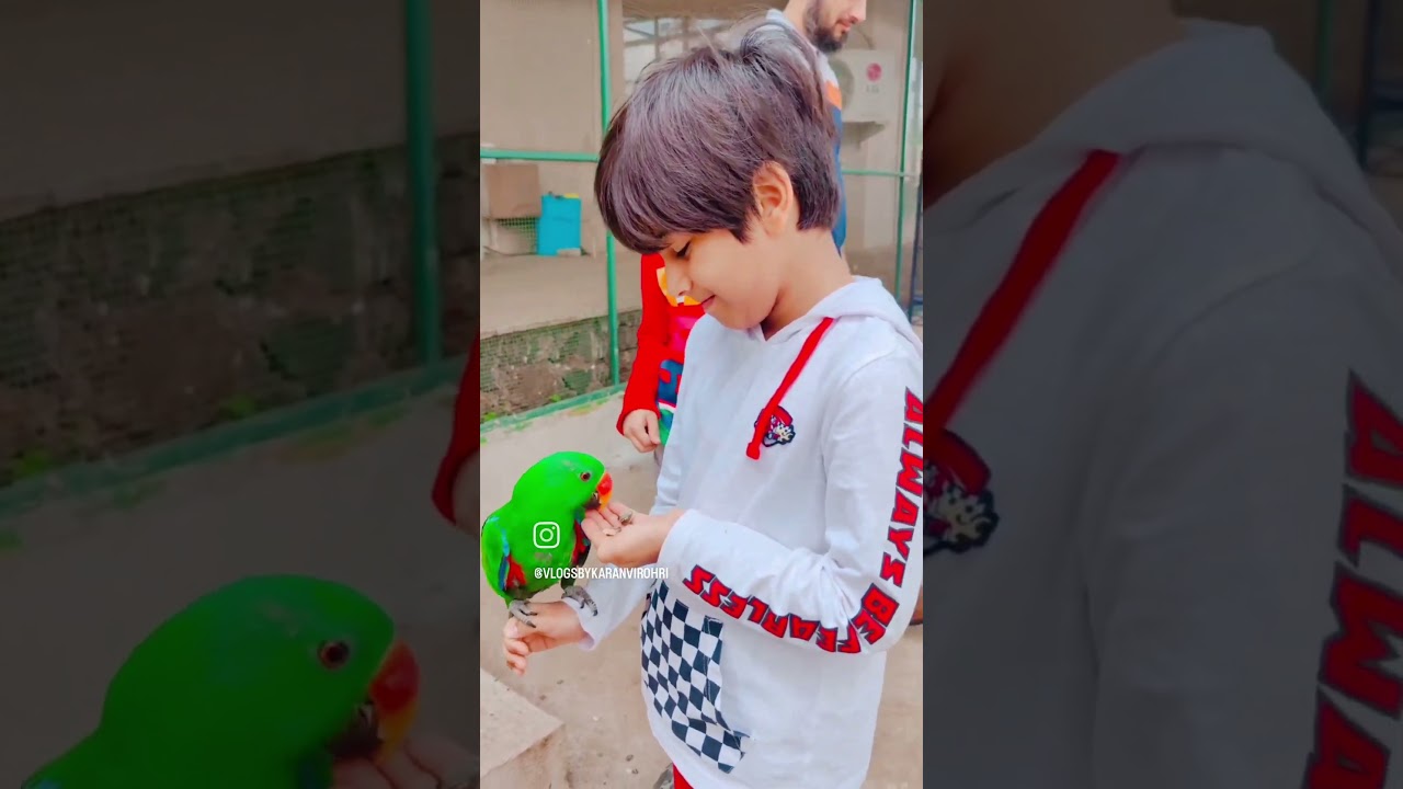 Family visit to a pet resort. pets petresort explore outing outingwithfamily parrots