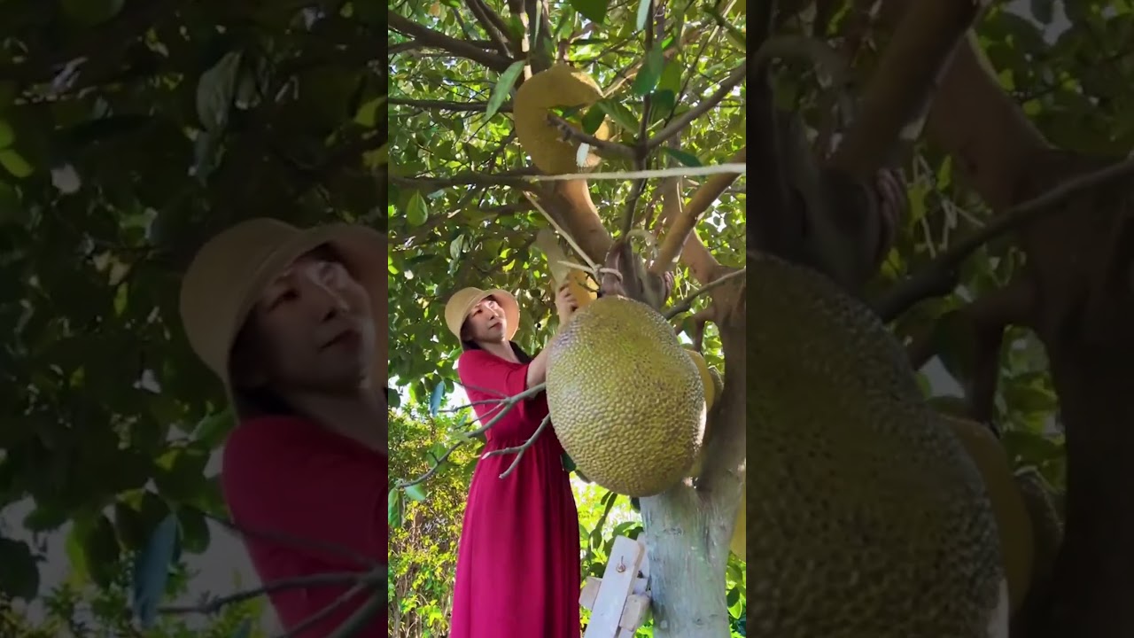 Enjoy beautiful nature with rural life # 476