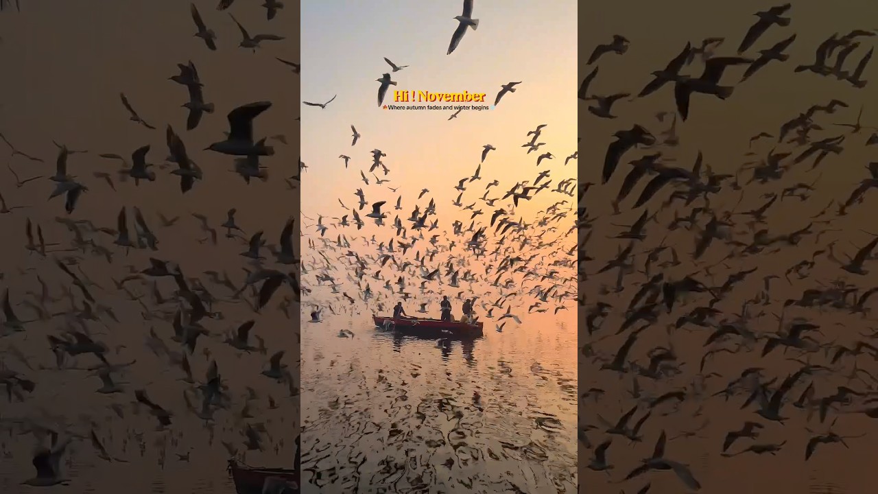 Hi 👋 November, New Month New Beginning, Positivity, Winter, Autumn, Happiness shortvideo hype