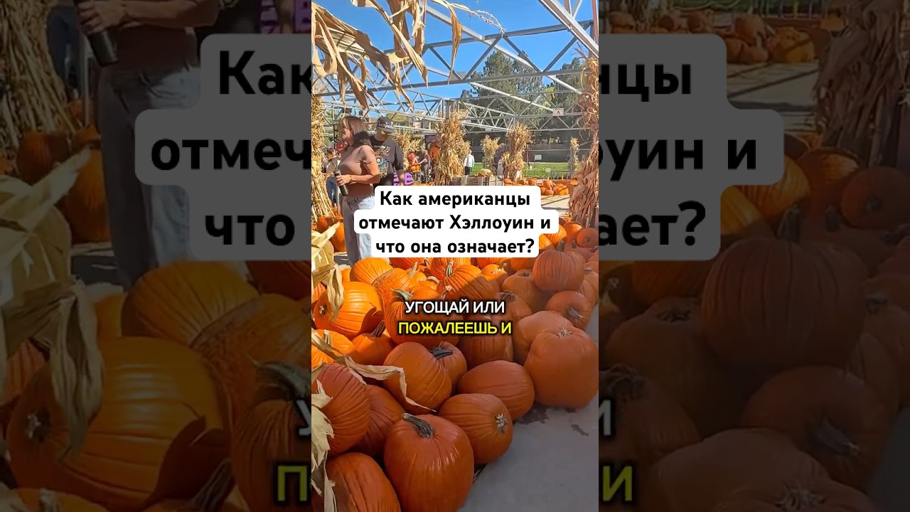 Как американцы отмечают Хэлоуин и что она означает? shorts halloween хэллоуин история жизньвсша