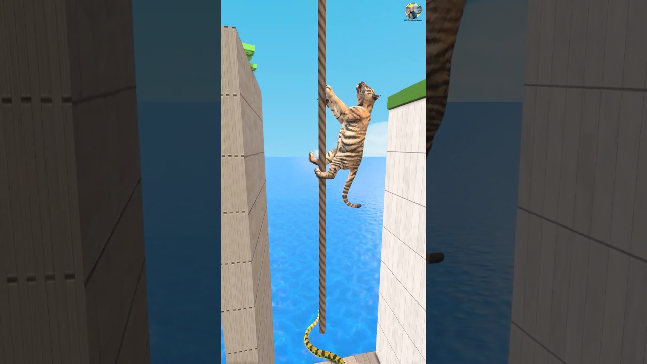 Knowledge vs Money With Cartoon Cow vs Tiger What To Choose? New #Shorts #Cartoon #Viral #shortsfeed