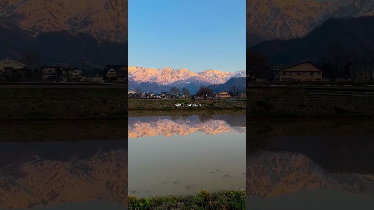 2℃の朝。田んぼに水が入り始めました。桜の次は水鏡の世界に。#白馬村 #自然暮らし #春 #絶景 #水鏡 #散歩 #hakuba #japan #spring #nature