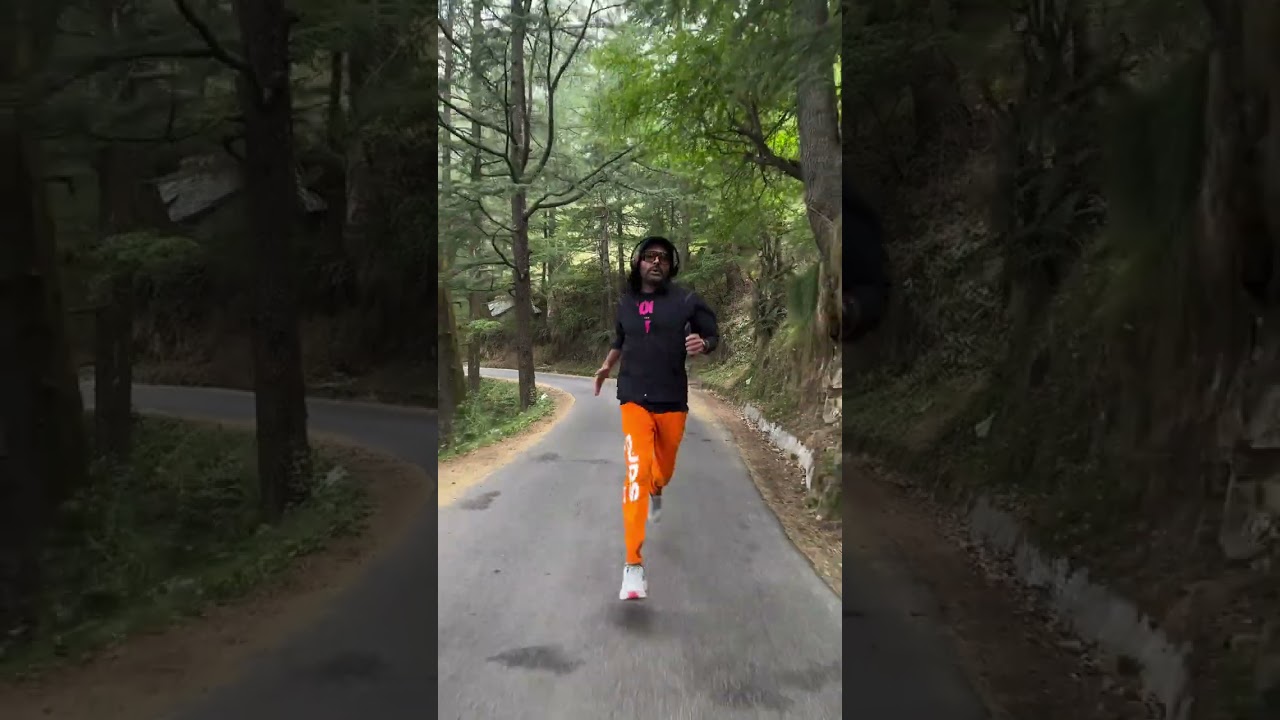 Push Harder, Nature has your Back 🏔️ ☀️ 🌲 #Mountains #Gratitude