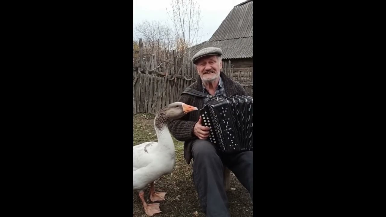 Лучшее видео REALFRAME MIX (Ноябрь 2025)!