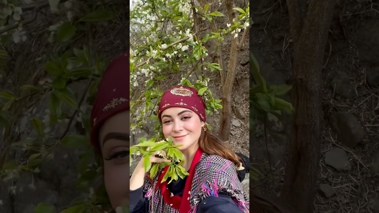 Ye Plum ka Bagicha hai Mera 😍♥️😝 #nature #love #daizyaizy