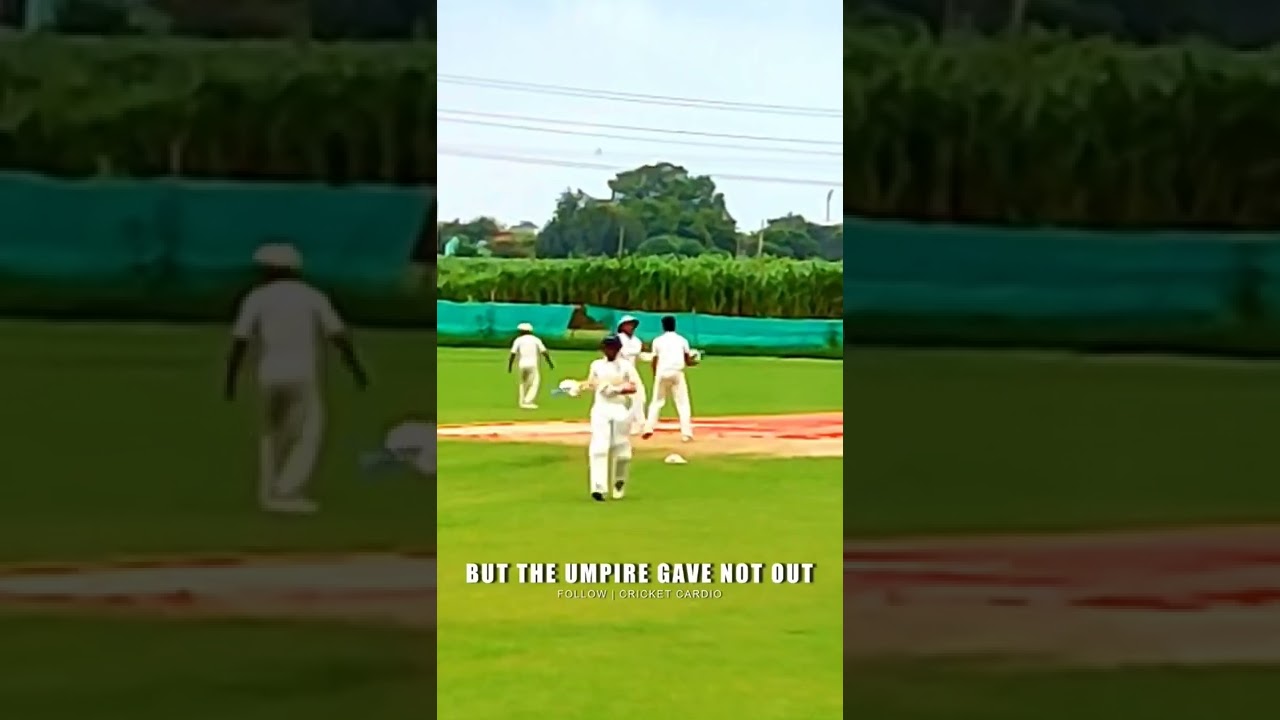 Never cheat in the SPORT you LOVE!🏏❤️ shorts cricketcardio