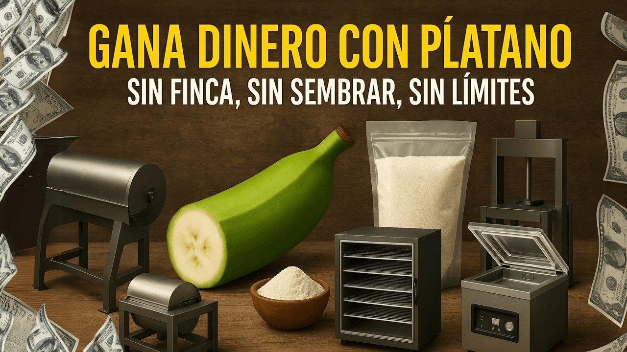 GANA DINERO con EL PLATANO sin Cultivarlo ¡Es Posible! CREA TU EMPRESA DESDE CASA.