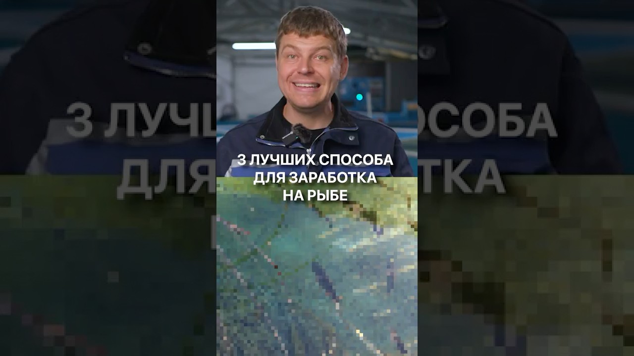 3 лучших способа для заработка на рыбе! рыба бизнес заработок узв