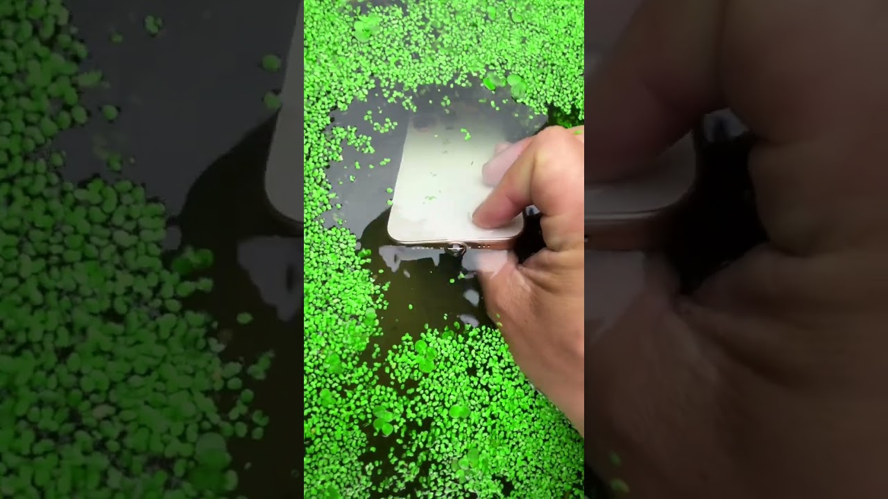 the beauty of nature - You didn't think it was that beautiful 747th clip #satisfying