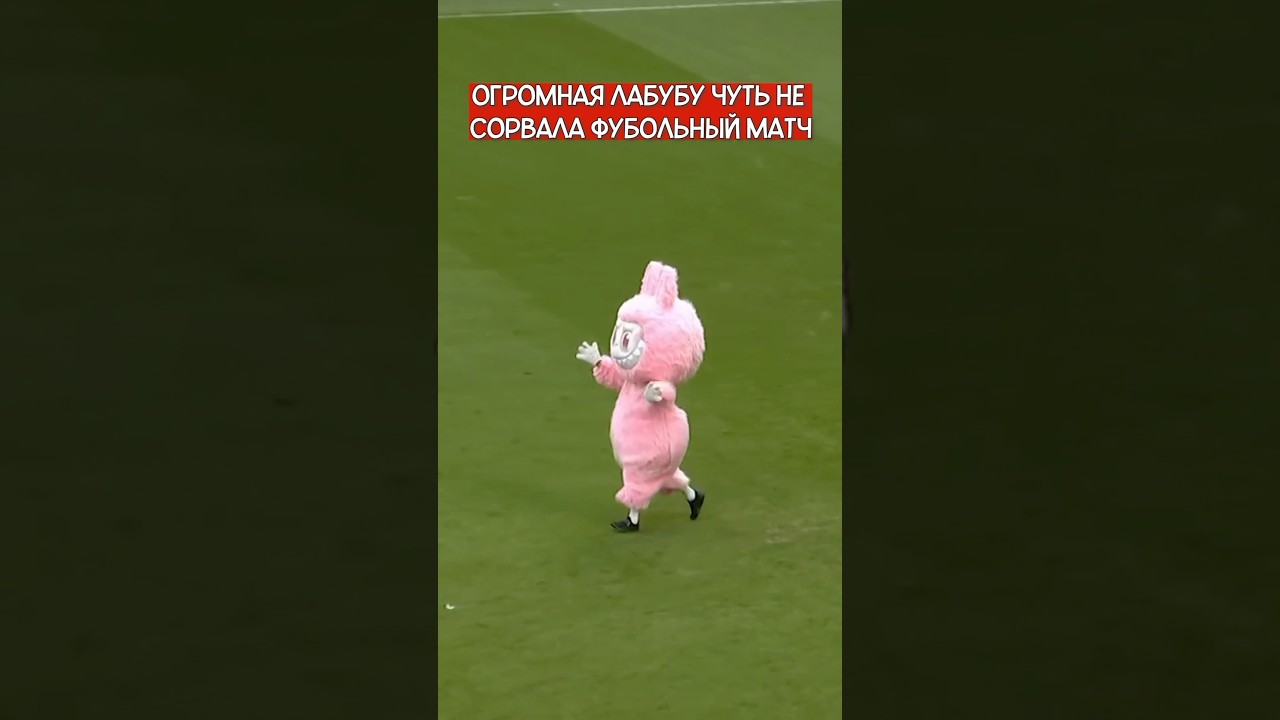 ЛАБУБУ ВЫБЕЖАЛА НА ПОЛЕ И СОРВАЛА ФУТБОЛЬНЫЙ МАТЧ 😱 амкал цска футбол лабубу football labubu