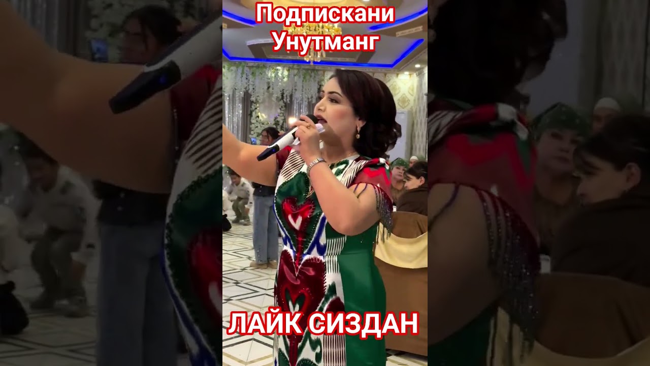 19 октября 2025 г.той хари свадьба тикток rek aktivler azeaktive хиты танцы travel usa