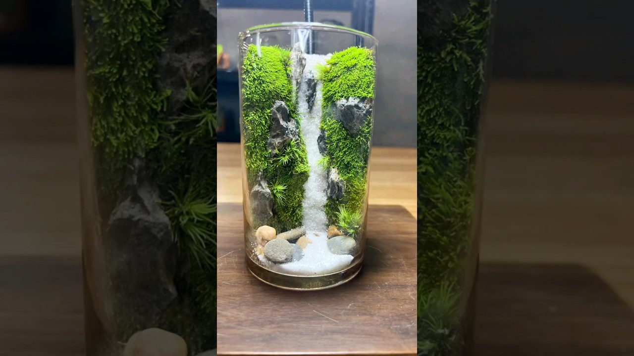 Take the beautiful scenery with you and feel the nature at any timeThe breath of#waterfall #shorts