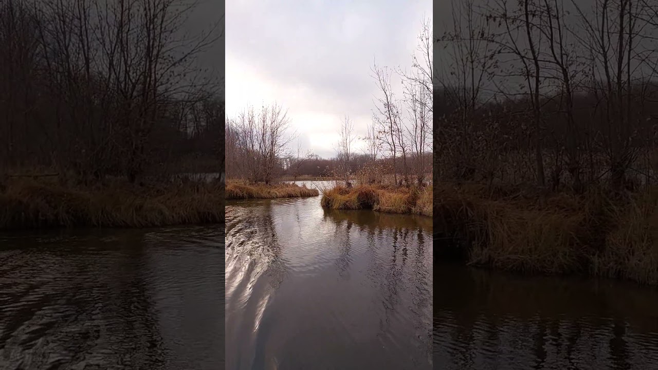 Мимо входа в озеро волга природа ноябрь дикаяприрода видео шортс красиво volga volgariver
