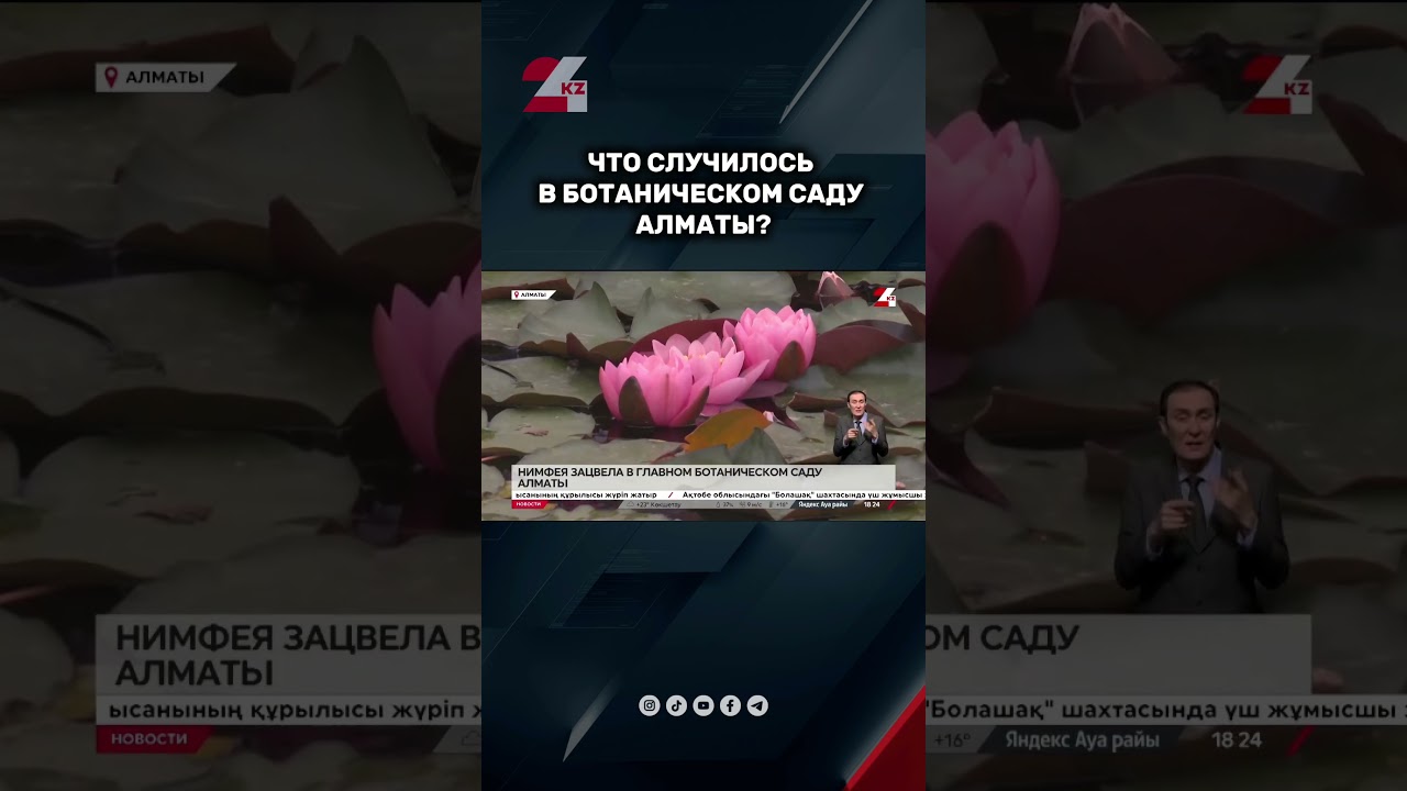 Красота в ботаническом саду Алматы 24kz новости казахстан
