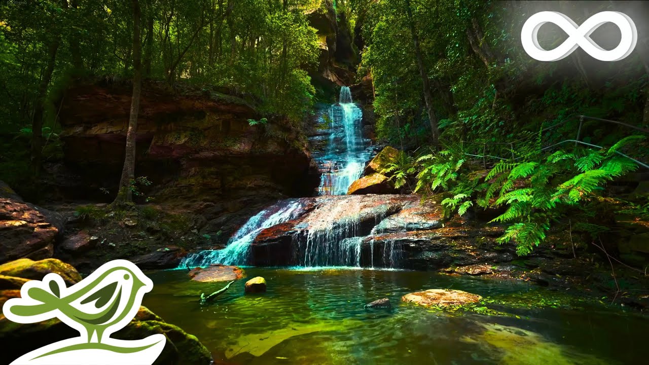 Relaxing Zen Music with Nature Sounds for Meditation, Spa, Sleep & Relaxation