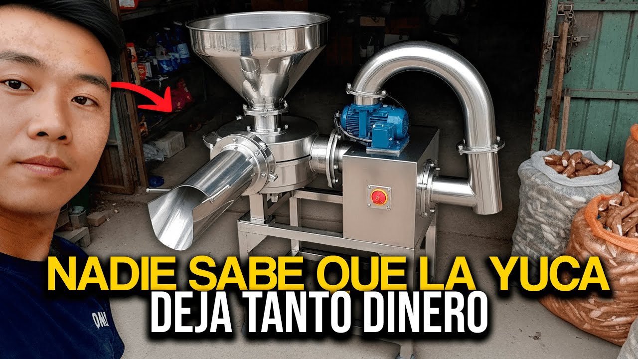 GANA DINERO con YUCA sin ser agricultor | Oportunidad de NEGOCIO desde casa en 2025